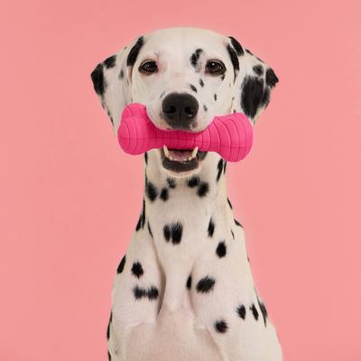 Show full view: Playology Valentine's Box Bundle Red Velvet Scented Chew Dog Toys, Pink, Jumbo, 2 count slide 3 of 8