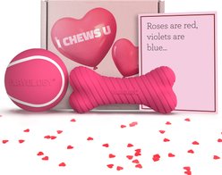 Playology Valentine's Box Bundle Red Velvet Scented Chew Dog Toys, Pink, Jumbo, 2 count slide 1 of 8