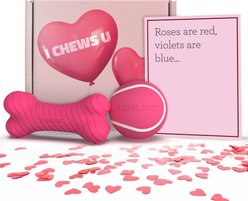 Playology Valentine's Box Bundle Red Velvet Scented Chew Dog Toys, Pink, Medium, 2 count