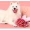 Show in main carousel: Playology Valentine's Box Bundle Red Velvet Scented Chew Dog Toys, Pink, Medium, 2 count slide 3 of 8