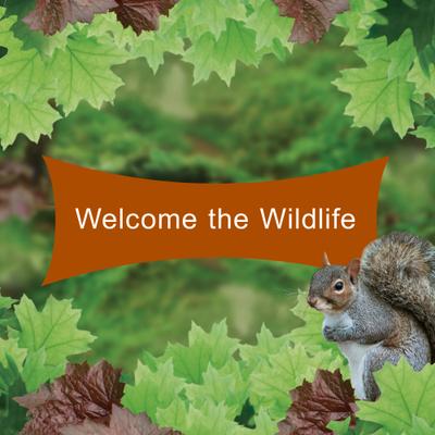 Show full view: Kaytee Wild Bird Corn-a-Plenty Seed Cake, 2.5-lb, 4 count slide 6 of 9