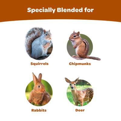 Show full view: Kaytee Wild Bird Corn-a-Plenty Seed Cake, 2.5-lb, 4 count slide 2 of 9