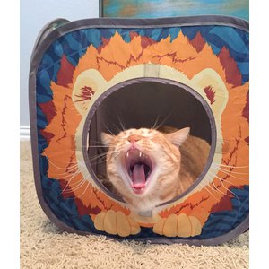 Kitty City Safari Jungle Play Cat Cube