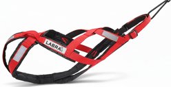 Labra Canine Bike & Skijoring Canicross Pulling Reflective Dog Harness, Red, X-Large