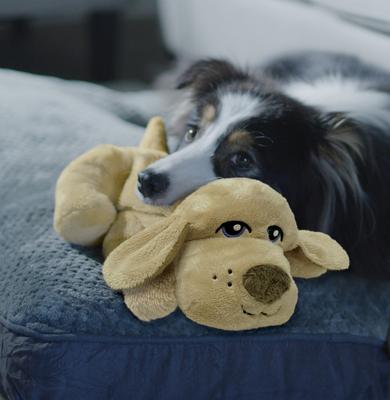 Show full view: Pets Know Best HuggiePup Plush Dog Toy, Golden slide 5 of 10