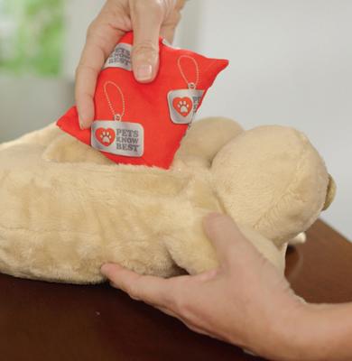 Show full view: Pets Know Best HuggiePup Plush Dog Toy, Golden slide 6 of 10