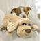 Show in main carousel: Pets Know Best HuggiePup Plush Dog Toy, Golden slide 4 of 10
