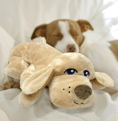 Show full view: Pets Know Best HuggiePup Plush Dog Toy, Golden slide 4 of 10