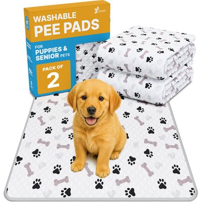 Green Lifestyle Green Lifestyle Printed Reusable Cat & Dog Pee Pads, Blue & White, 41 x 41-in, 2 count