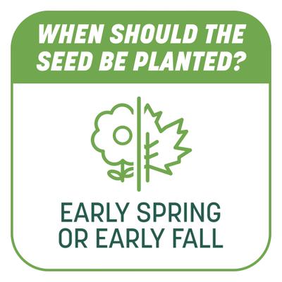 Show full view: Pennington Smart Patch Tall Fescue Mix Dog Lawn-Treatment & Grass Saver, 5-lb jug slide 8 of 11