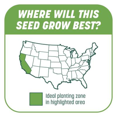 Show full view: Pennington Smart Patch Tall Fescue Mix Dog Lawn-Treatment & Grass Saver, 5-lb jug slide 7 of 11