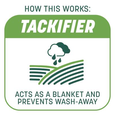 Show full view: Pennington Smart Patch Tall Fescue Mix Dog Lawn-Treatment & Grass Saver, 5-lb jug slide 5 of 11