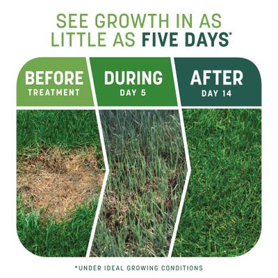 Show full view: Pennington Smart Patch Tall Fescue Mix Dog Lawn-Treatment & Grass Saver, 5-lb jug slide 3 of 11