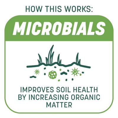 Show full view: Pennington Smart Patch Tall Fescue Mix Dog Lawn-Treatment & Grass Saver, 5-lb jug slide 4 of 11