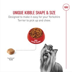 Royal Canin Breed Health Nutrition Yorkshire Terrier Adult Dry Dog Food, 10-lb bag slide 2 of 9