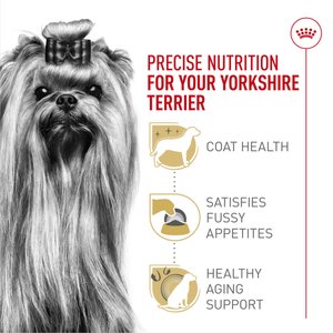 Royal Canin Breed Health Nutrition Yorkshire Terrier Adult Dry Dog Food, 10-lb bag