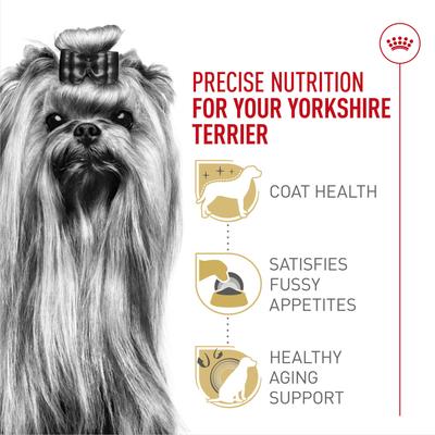 Royal Canin Breed Health Nutrition Yorkshire Terrier Adult Dry Dog Food