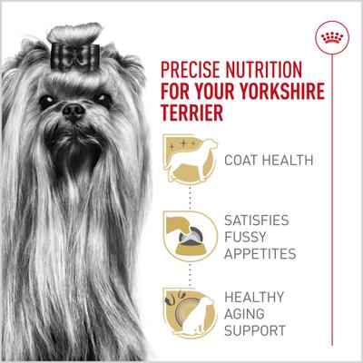 Show full view: Royal Canin Breed Health Nutrition Yorkshire Terrier Adult Dry Dog Food, 2.5-lb bag slide 5 of 12