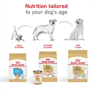 Royal Canin Breed Health Nutrition Labrador Retriever Adult Dry Dog Food, 30-lb bag