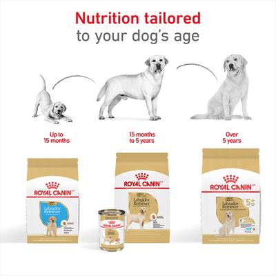 Show full view: Royal Canin Breed Health Nutrition Labrador Retriever Puppy Dry Dog Food, 2.5-lb bag slide 7 of 12