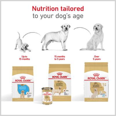 Show full view: Royal Canin Breed Health Nutrition Labrador Retriever Puppy Dry Dog Food, 30-lb bag slide 8 of 13
