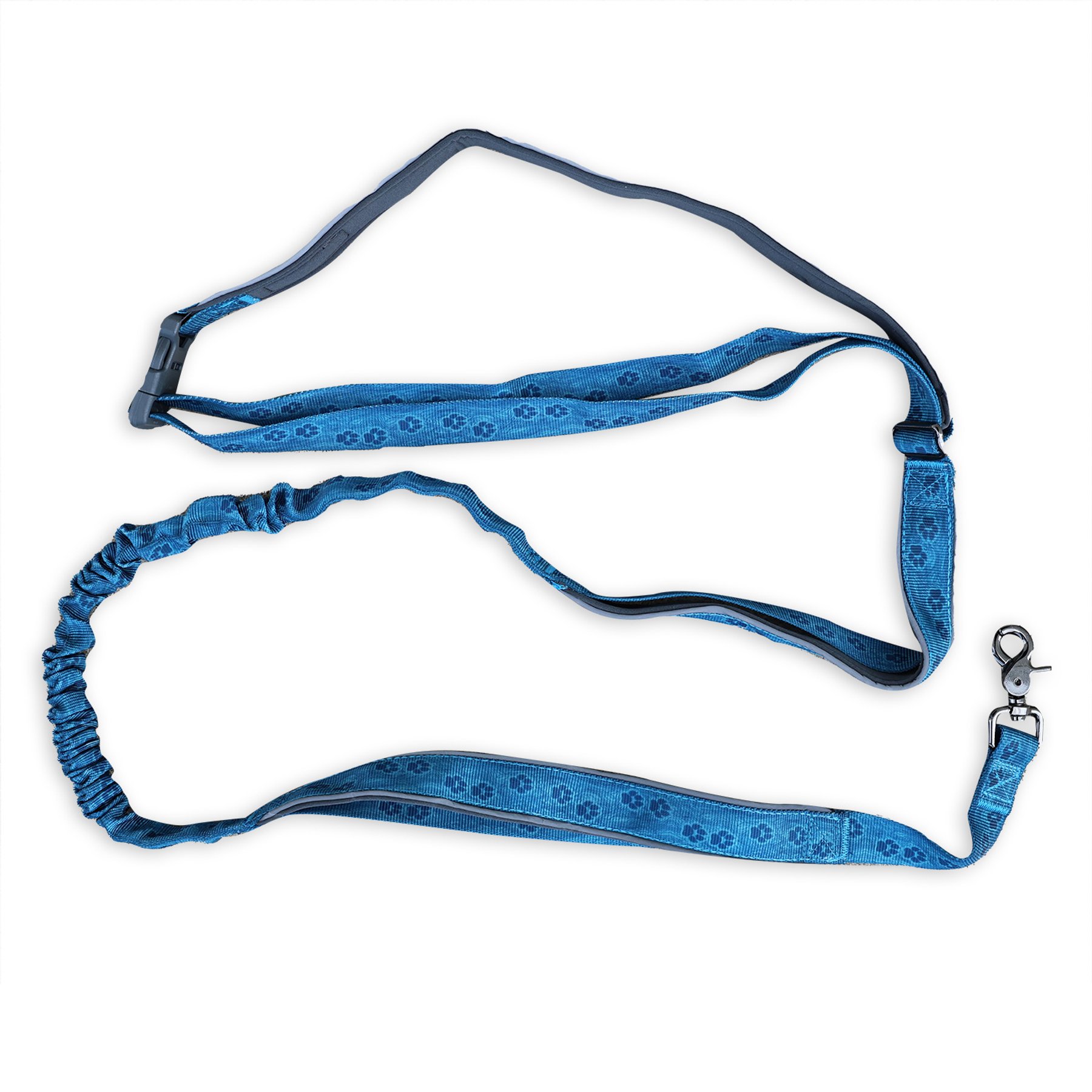 Wingo Outdoors Goose Active Hands-Free Dog Leash, Blue, 8-ft long, 1-inch wide