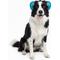 Show in main carousel: Labra Noise Protection Dog Ear Muffs, Blue, Small slide 1 of 6