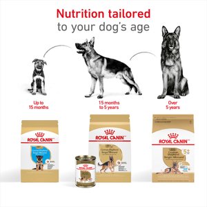 Royal Canin Breed Health Nutrition German Shepherd Puppy Dry Dog Food, 30-lb bag