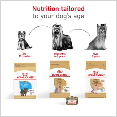 Show full view: Royal Canin Breed Health Nutrition Yorkshire Terrier Adult Dry Dog Food, 2.5-lb bag slide 8 of 12