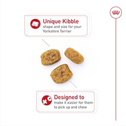 Royal Canin Breed Health Nutrition Yorkshire Terrier Adult Dry Dog Food, 10-lb bag slide 2 of 9