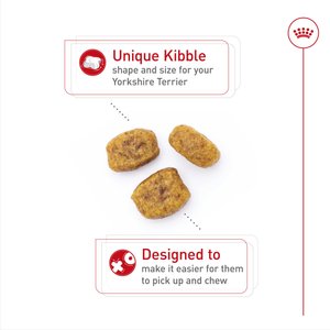 Royal Canin Breed Health Nutrition Yorkshire Terrier Adult Dry Dog Food, 10-lb bag