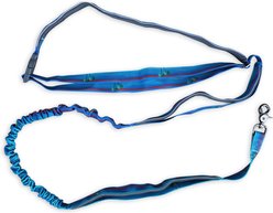 Wingo Outdoors Goose Active Hands-Free Dog Leash, Tropical Sunset, 8-ft long, 1-inch wide