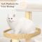 Show in main carousel: KAMABOKO 53-in Indoor Natural Sisal Cat Tree with Scratching Posts, Hand-Woven Condo & Top Perch, Beige slide 7 of 8