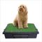 Show in main carousel: PetSafe Pet Loo Portable Indoor & Outdoor Dog Potty, Medium slide 1 of 13