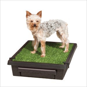 PetSafe Pet Loo Portable Indoor & Outdoor Dog Potty, Small