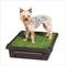 Show in main carousel: PetSafe Pet Loo Portable Indoor & Outdoor Dog Potty, Small slide 1 of 13