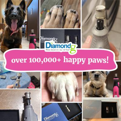 Show full view: Diamondg Enhanced Litttle Lola Diamond Rotary Nail Grinder & Trimmer Bits, Sliver, Small slide 8 of 9