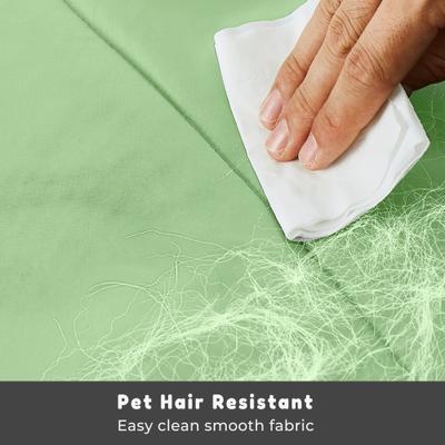 Show full view: Allisandro Outdoor Water-Repellent Dog Mat, 38 x 29-in, Pale Green slide 7 of 8