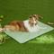 Show in main carousel: Allisandro Outdoor Water-Repellent Dog Mat, 38 x 29-in, Pale Green slide 1 of 8