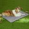 Show in main carousel: Allisandro Outdoor Water-Repellent Dog Mat, 38 x 29-in, Grey slide 1 of 9