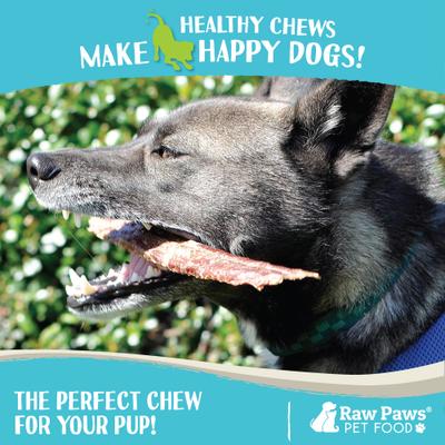 Show full view: Raw Paws Beef Esophagus 6-inch Dog Chews, 40 count slide 6 of 7