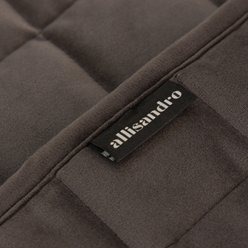 Allisandro Washable & Waterproof Anti-Slip Velvet Dog Couch Cover, Dark Grey, 24 x 68-in slide 2 of 9