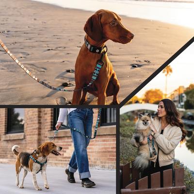 Show full view: Wolfgang WesternSky Comfort No Pull Step In Back Clip Dog Harness, Large: 20 to 30-in chest slide 6 of 6