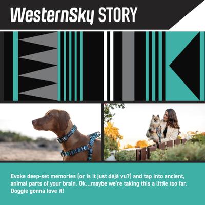 Show full view: Wolfgang WesternSky Comfort No Pull Step In Back Clip Dog Harness, Large: 20 to 30-in chest slide 2 of 6