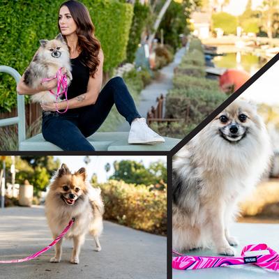 Show full view: Wolfgang MarbleSwirl Comfort No Pull Step In Back Clip Dog Harness, X-Large: 26 to 38-in chest slide 6 of 6