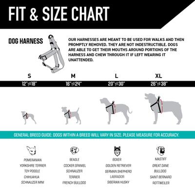 Show full view: Wolfgang LazyDaisy Comfort No Pull Step In Back Clip Dog Harness, Small: 12 to 18-in chest slide 4 of 7