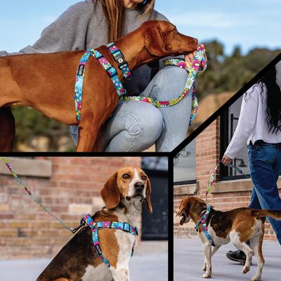 Show full view: Wolfgang LazyDaisy Comfort No Pull Step In Back Clip Dog Harness, Small: 12 to 18-in chest slide 6 of 7