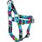 Show in main carousel: Wolfgang LazyDaisy Comfort No Pull Step In Back Clip Dog Harness, Small: 12 to 18-in chest slide 1 of 7