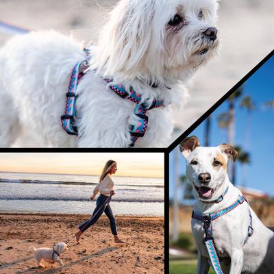 Show full view: Wolfgang BuenaOnda Comfort No Pull Step In Back Clip Dog Harness, Small: 12 to 18-in chest slide 6 of 6