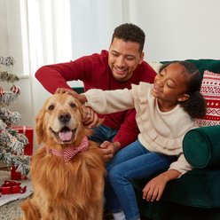 Milk-Bone 12 Days of Woofmas Countdown Calendar Beef & Peanut Butter Crunchy Adult Dog Treats, 2.85-oz box slide 2 of 9
